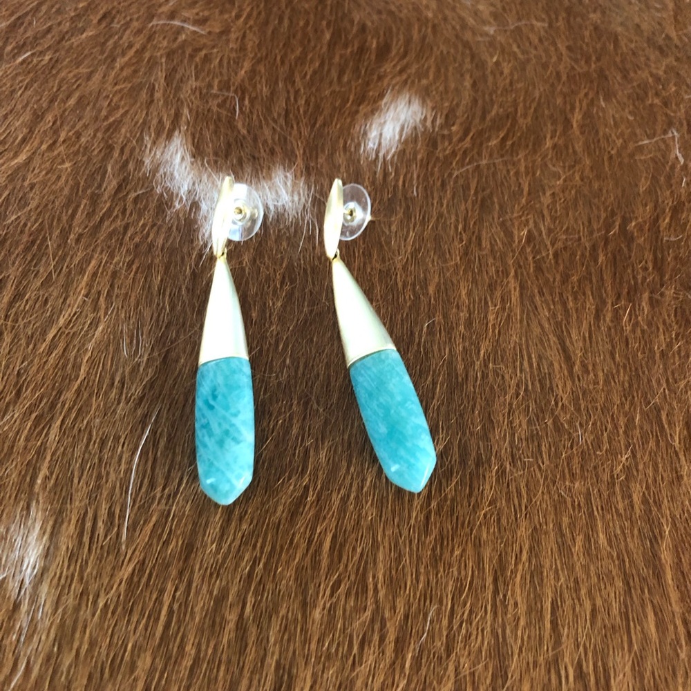 Kendra Scott dangle earring